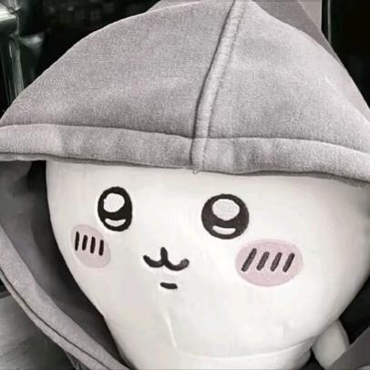 老猫