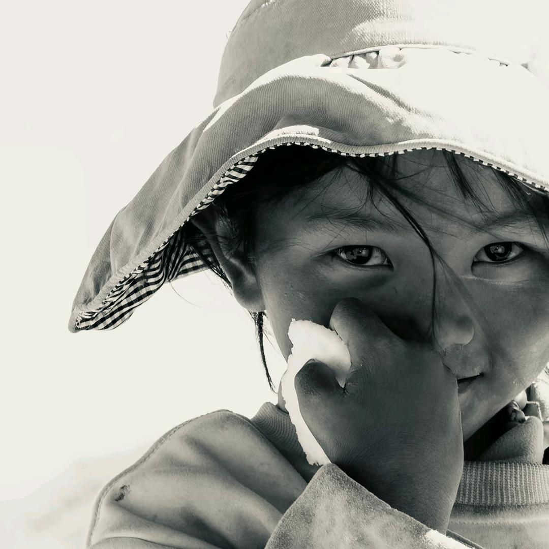 考拉.
