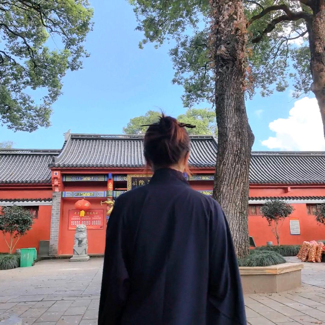 玄妙山姜