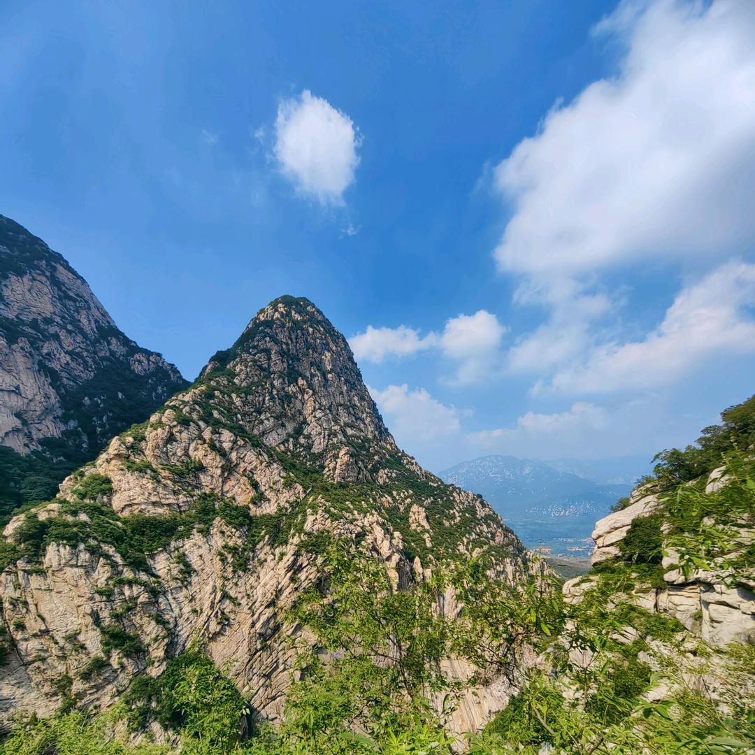 专业汽车变速箱维修