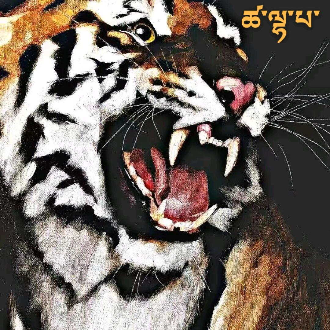 ཚ་ལྷ་པ་🐅