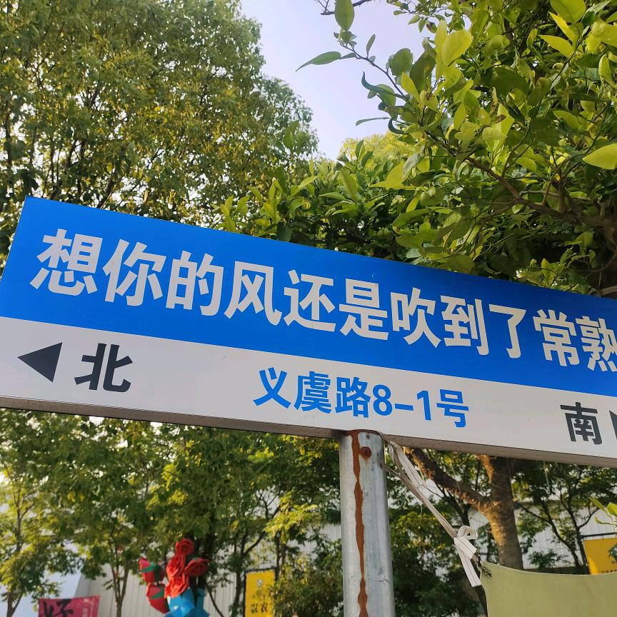 牛🐮🐮🐮🐮牛