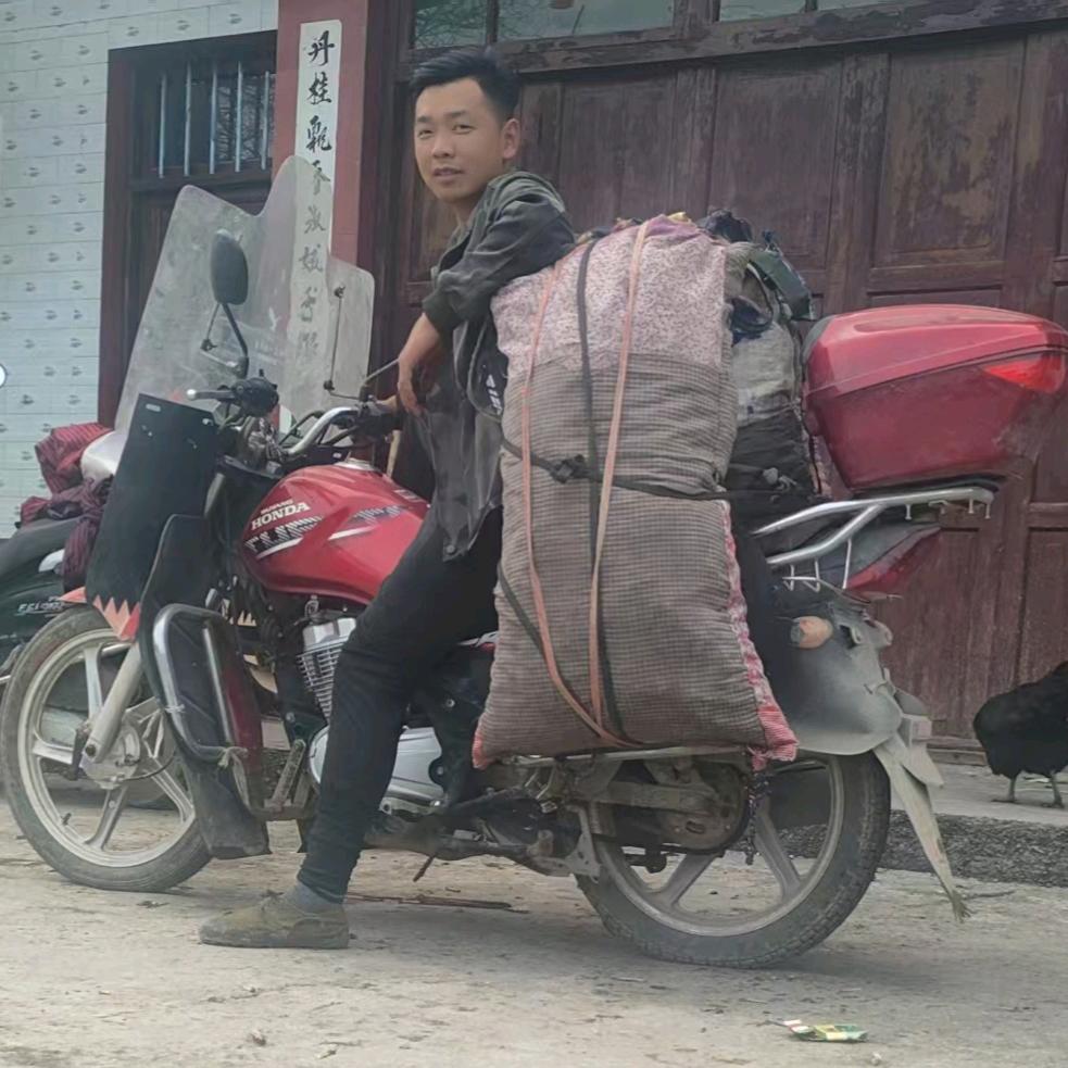 养蜂的小李（罗汉林）