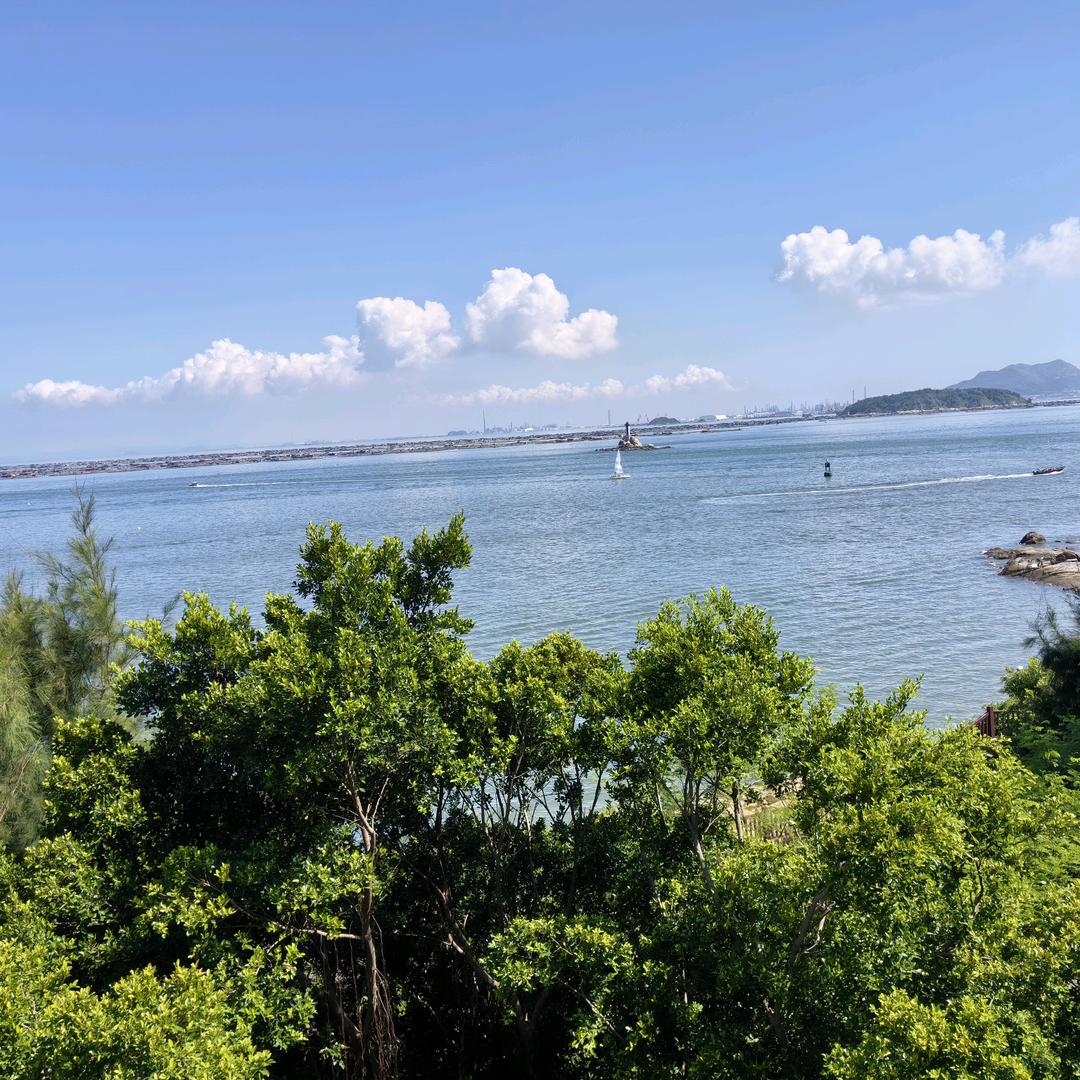 绥忆