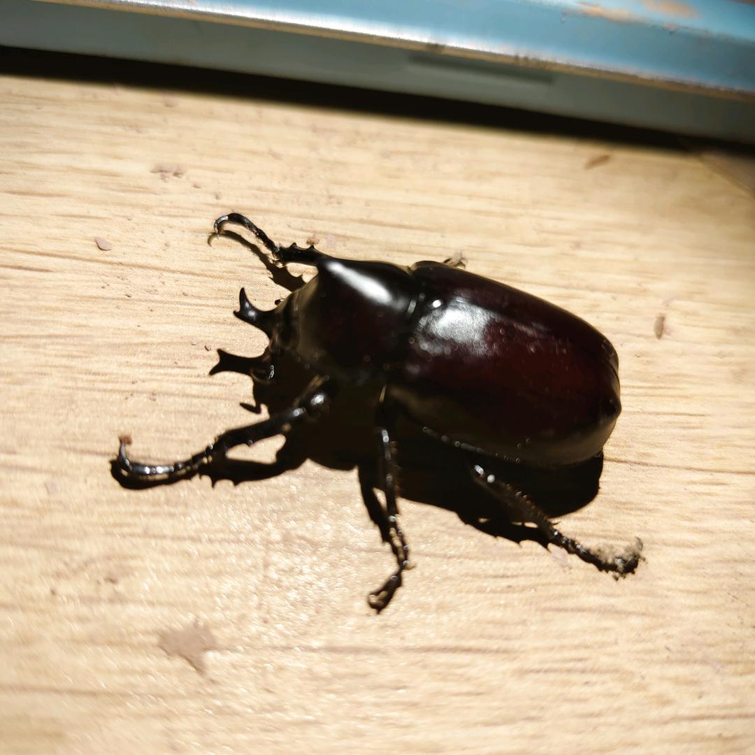 广东最有气质的男人