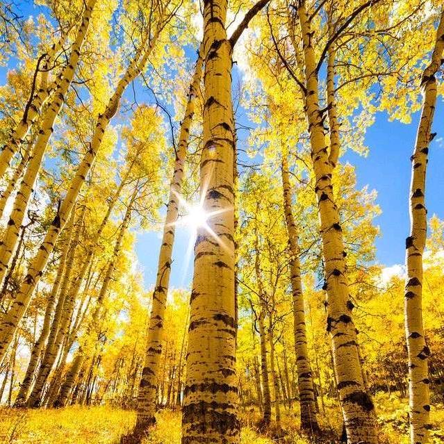 🌈想好好睡觉💤