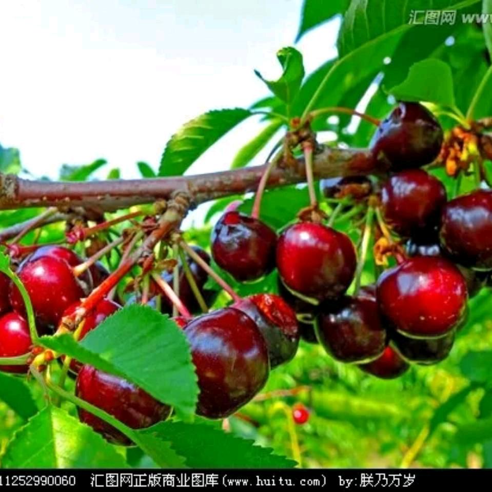 想你的时候看小小。