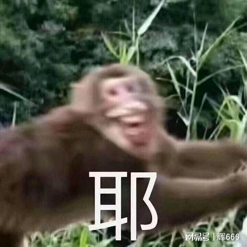 老紫薯道山