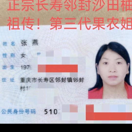 长寿邻封沙田柚，燕姐