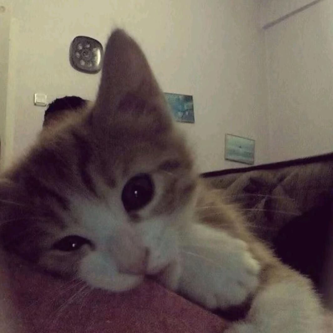 77😽