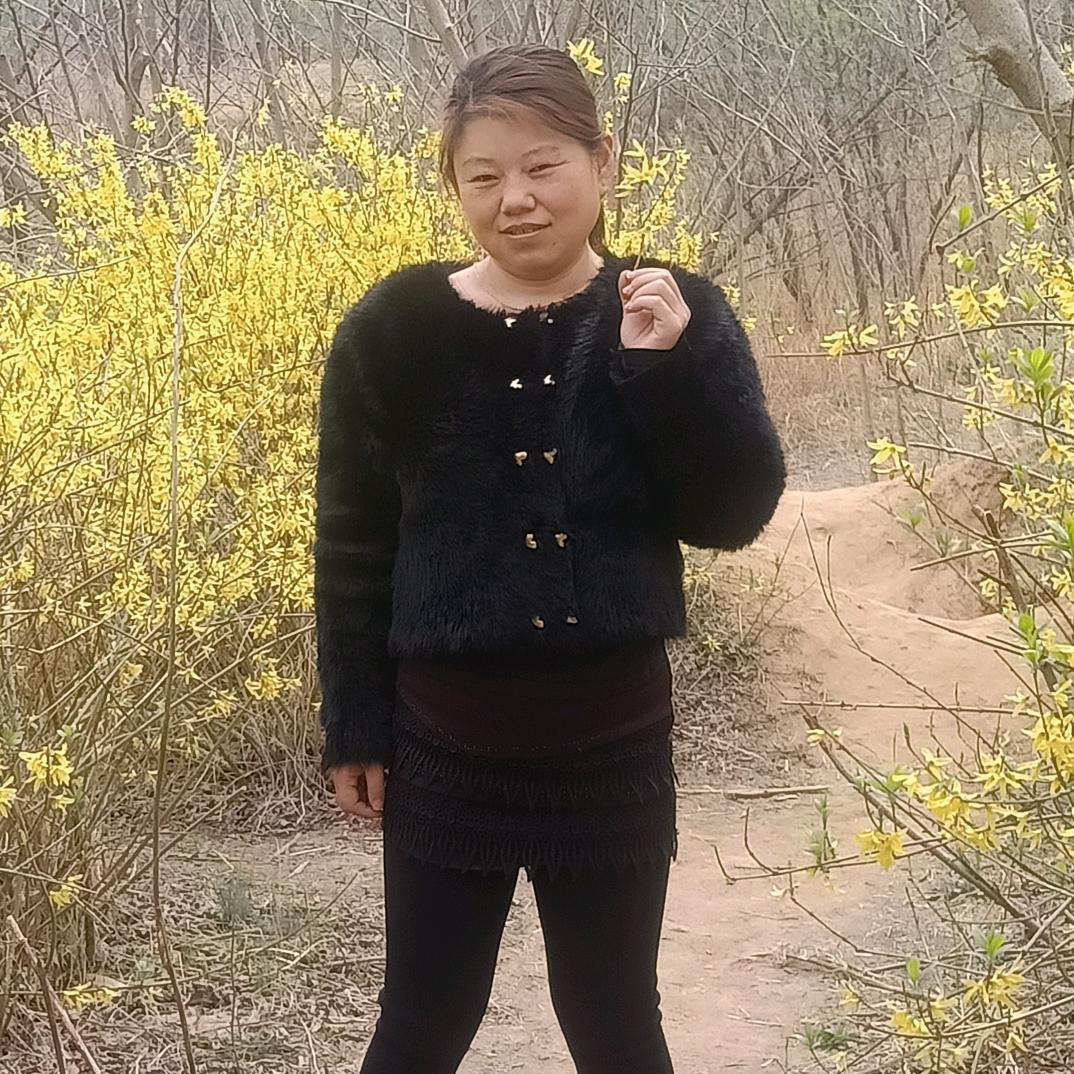 离月如梦