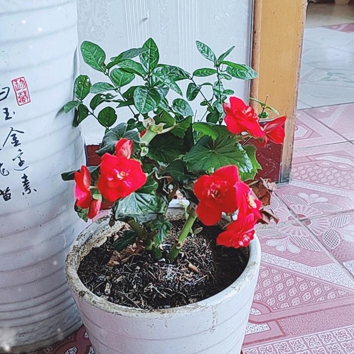 每天快乐