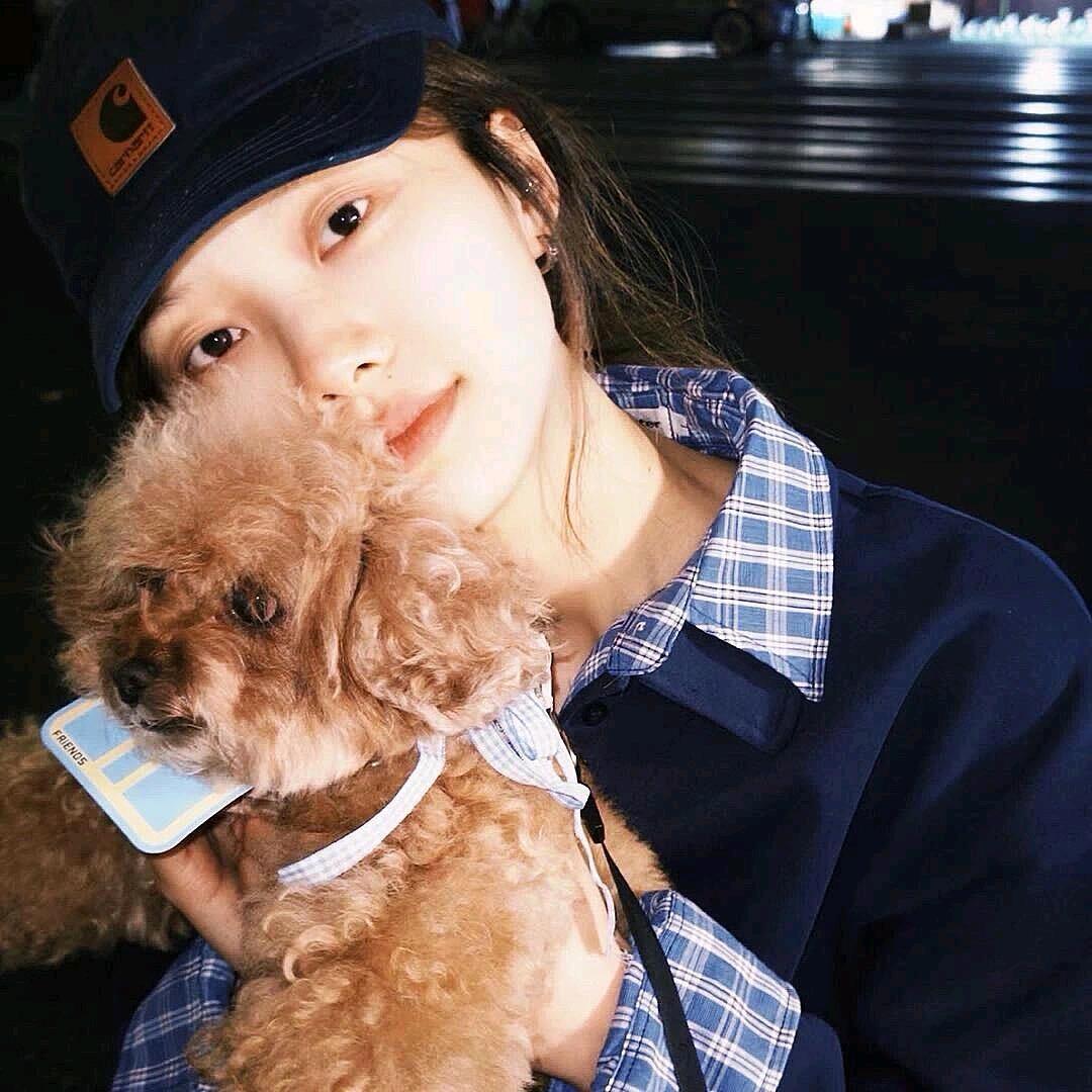 番茄🍅不炒蛋🥚