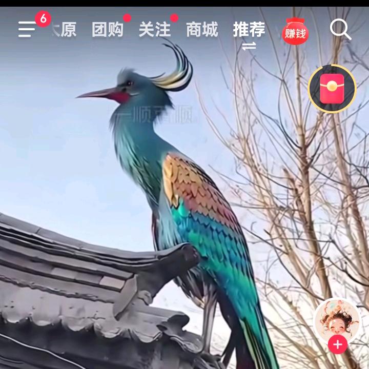 荷·吉祥