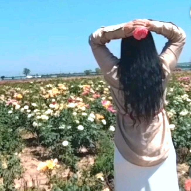 七零姐（学编织🔥）