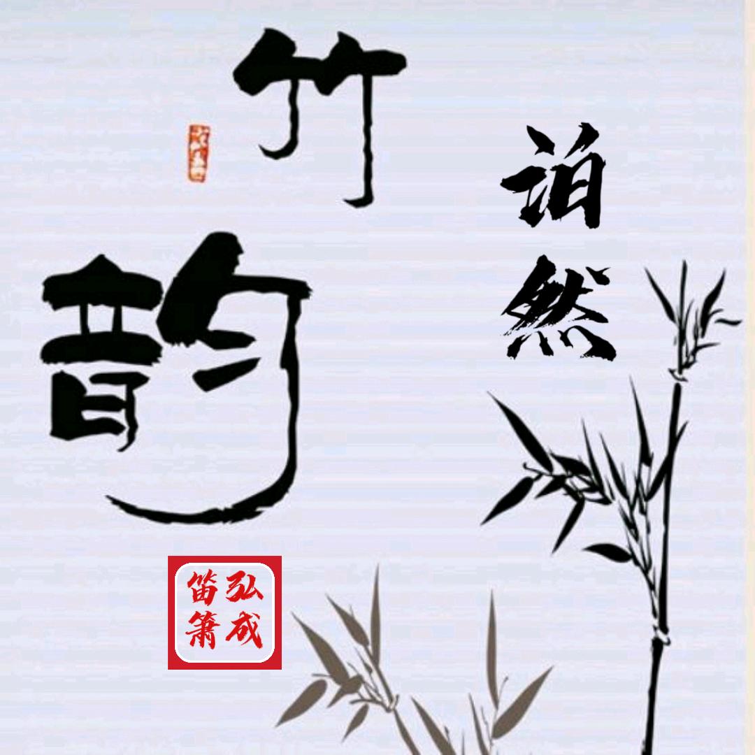 泊然竹韵