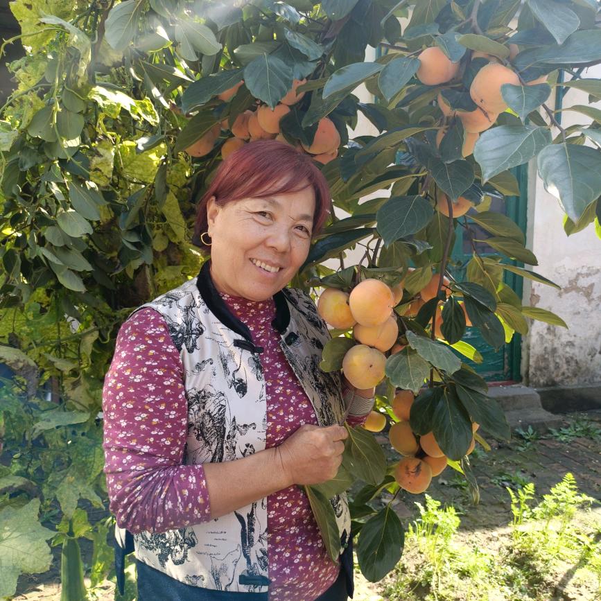 老彭的农村生活