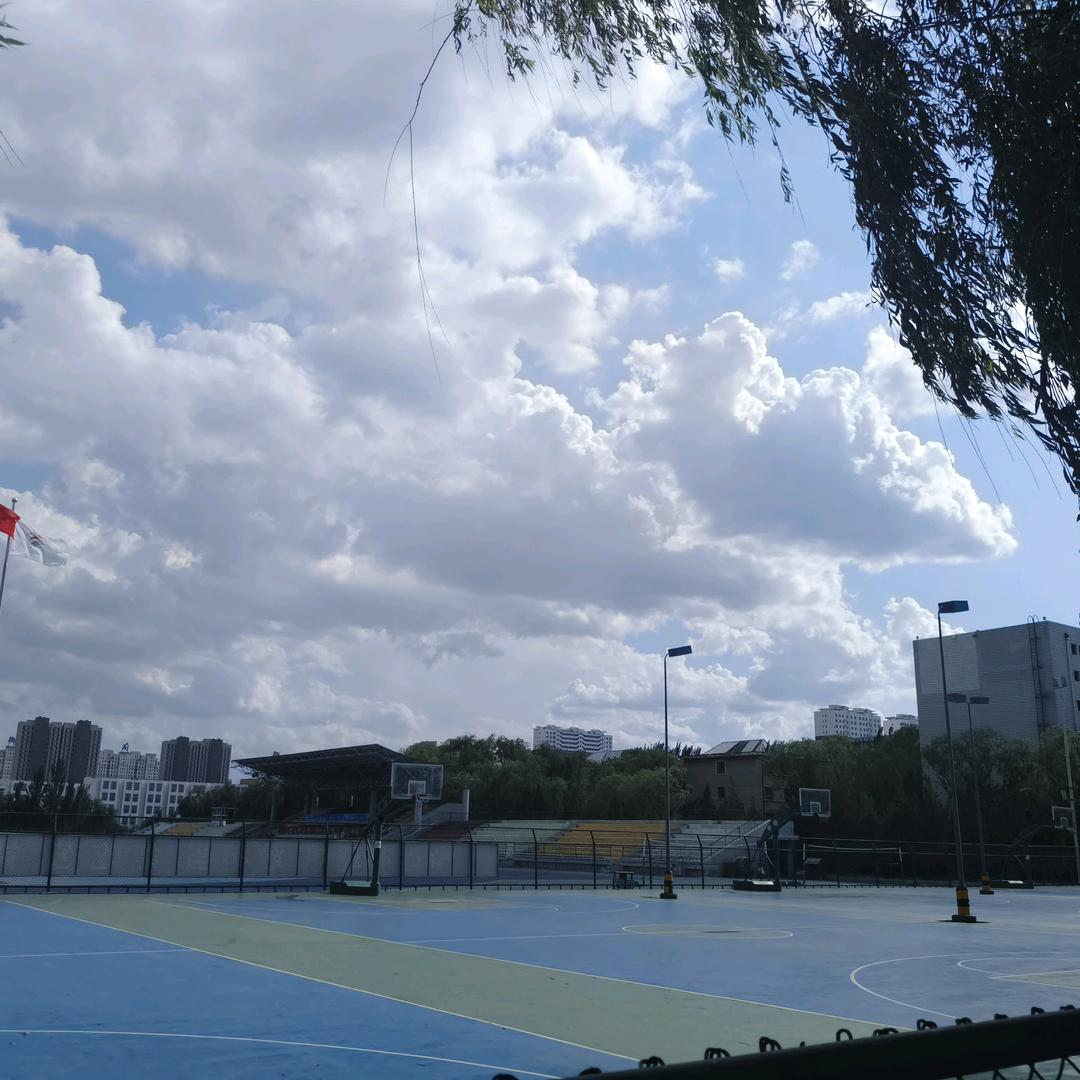 同大学长小梦
