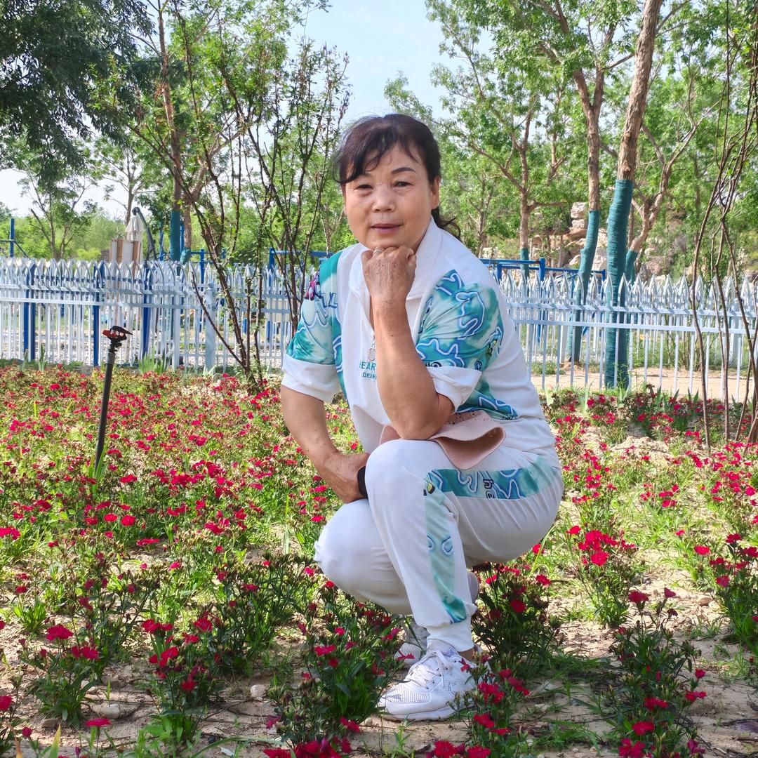 灿烂阳光田月花