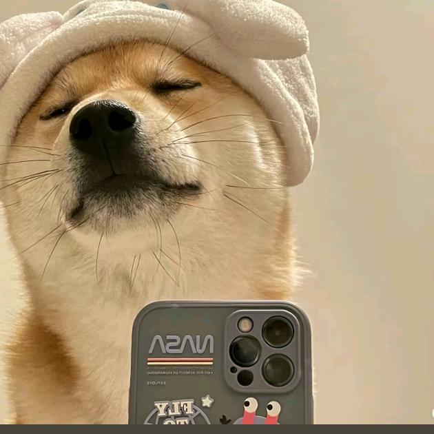 逍遥