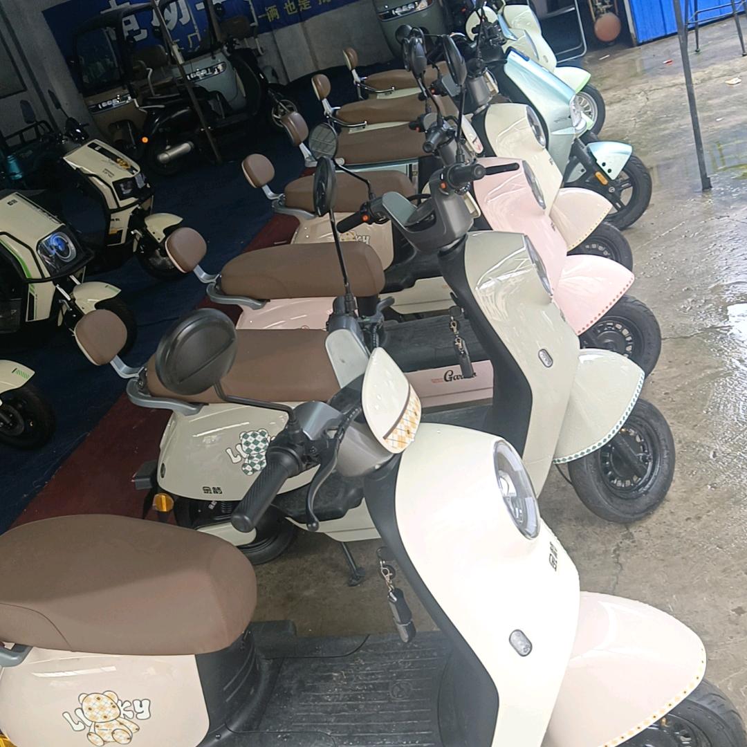 鹤壁精品电动车三轮车-务