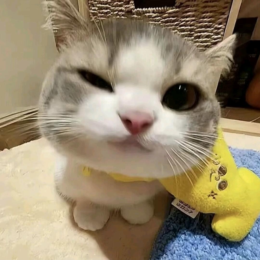 🐟