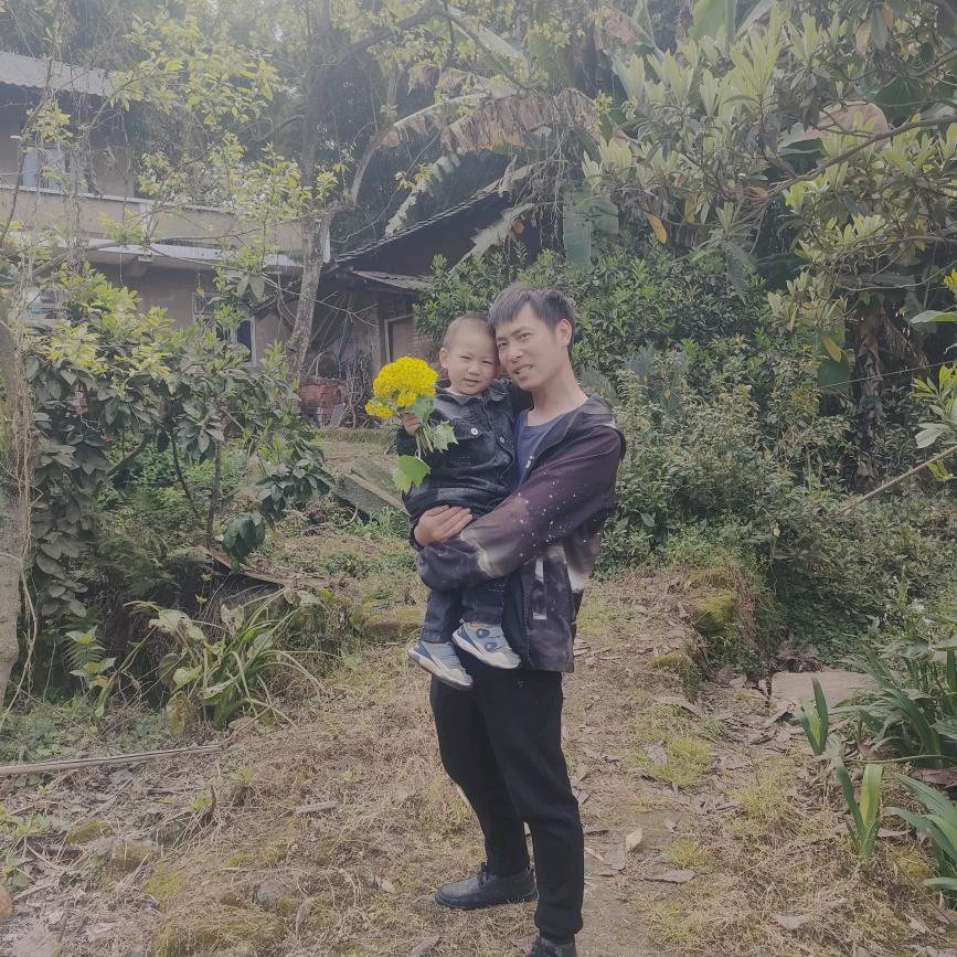 三杨开泰