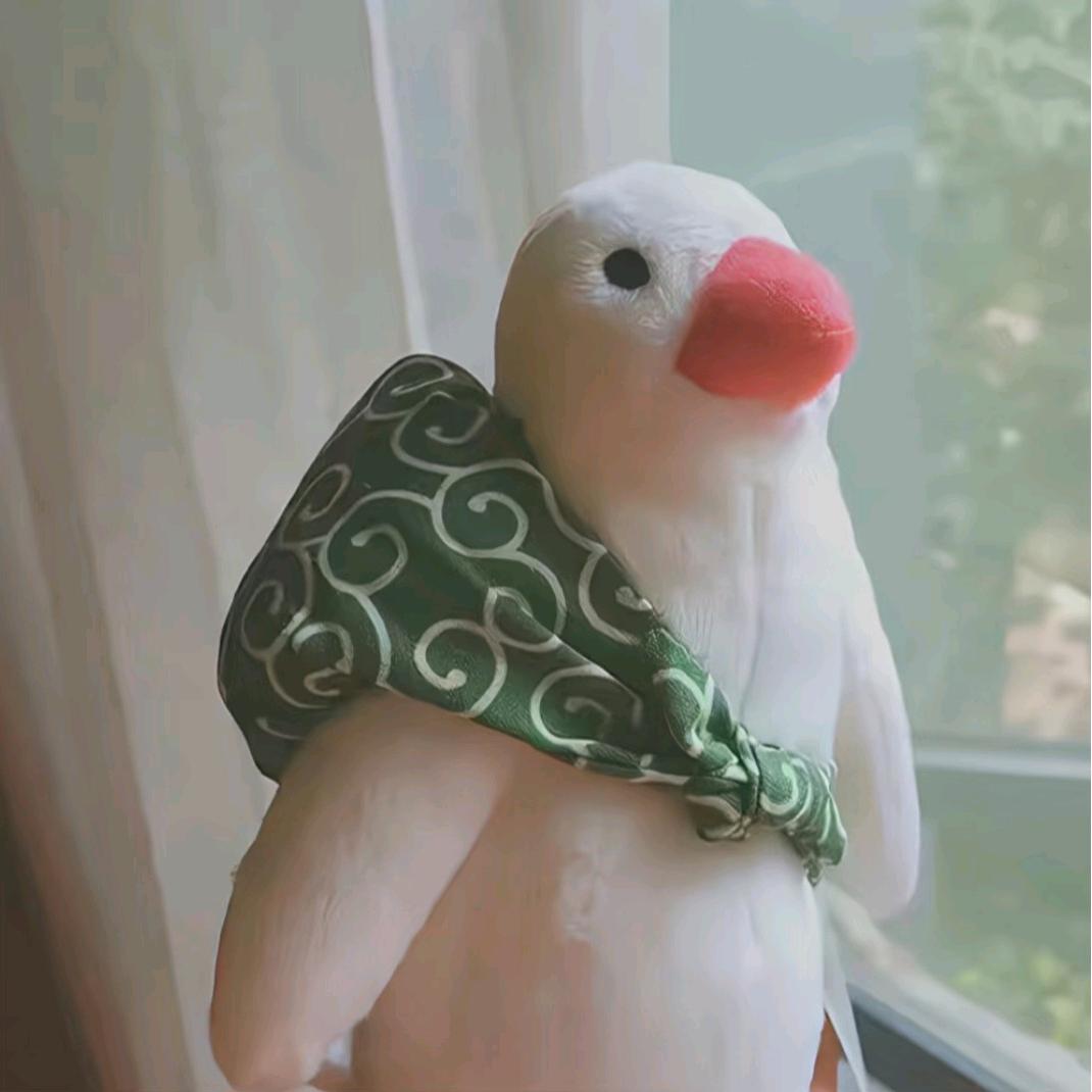 宿州教育旅行社张