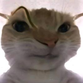 理堂第一封烟手