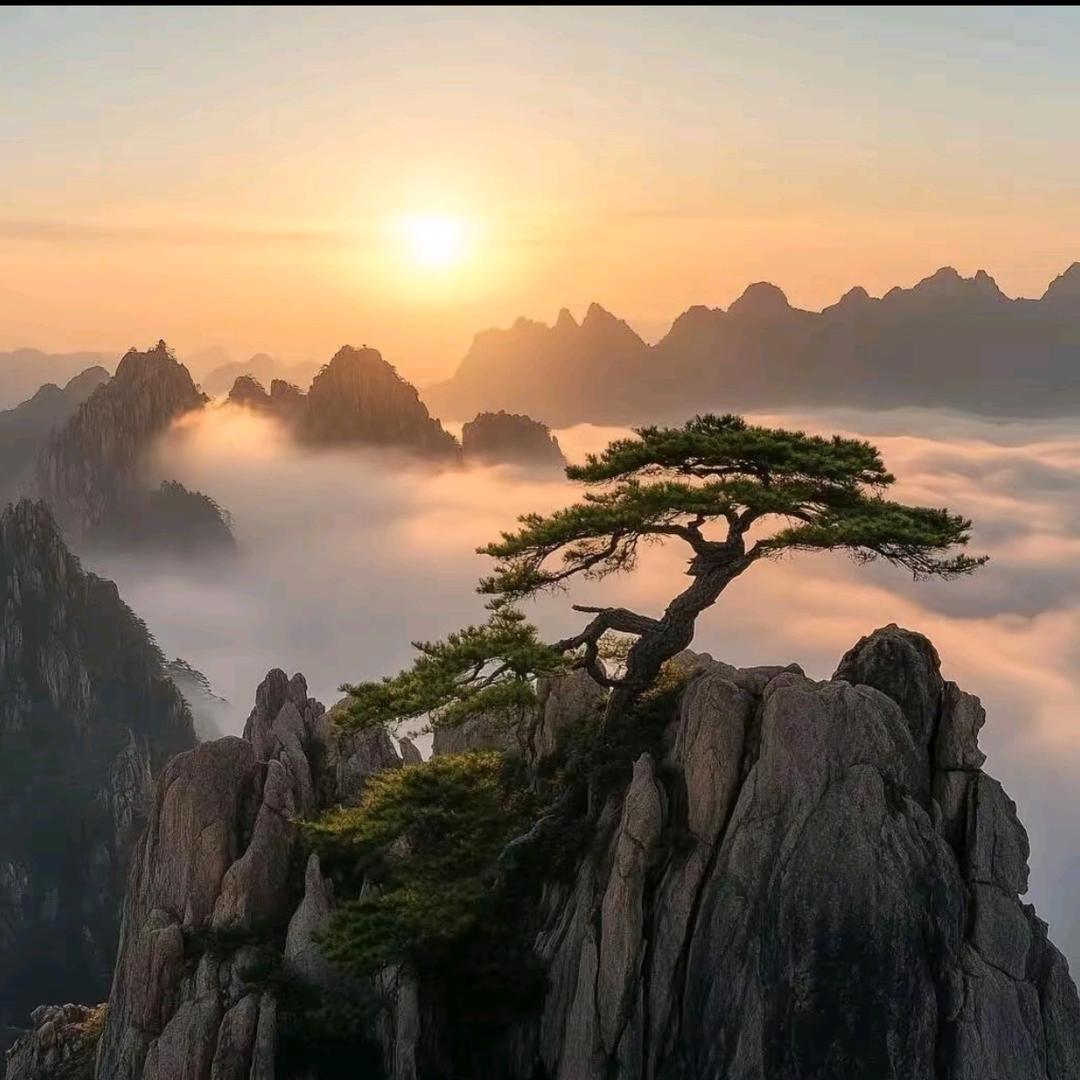 平安喜乐
