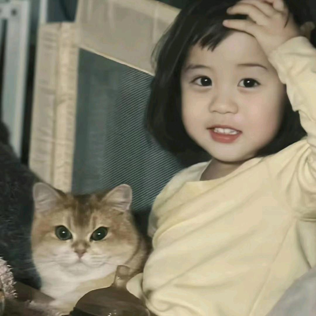 许愿一天多一根头发💭