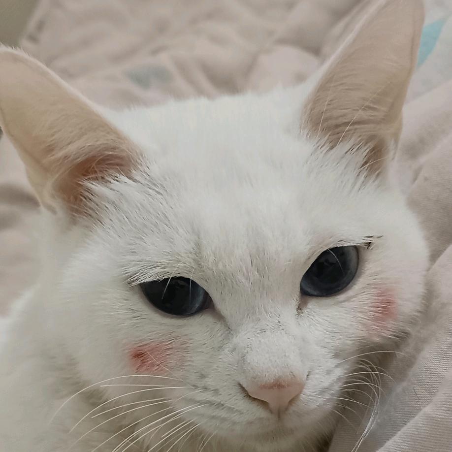 图书馆长@涂涂加油✊