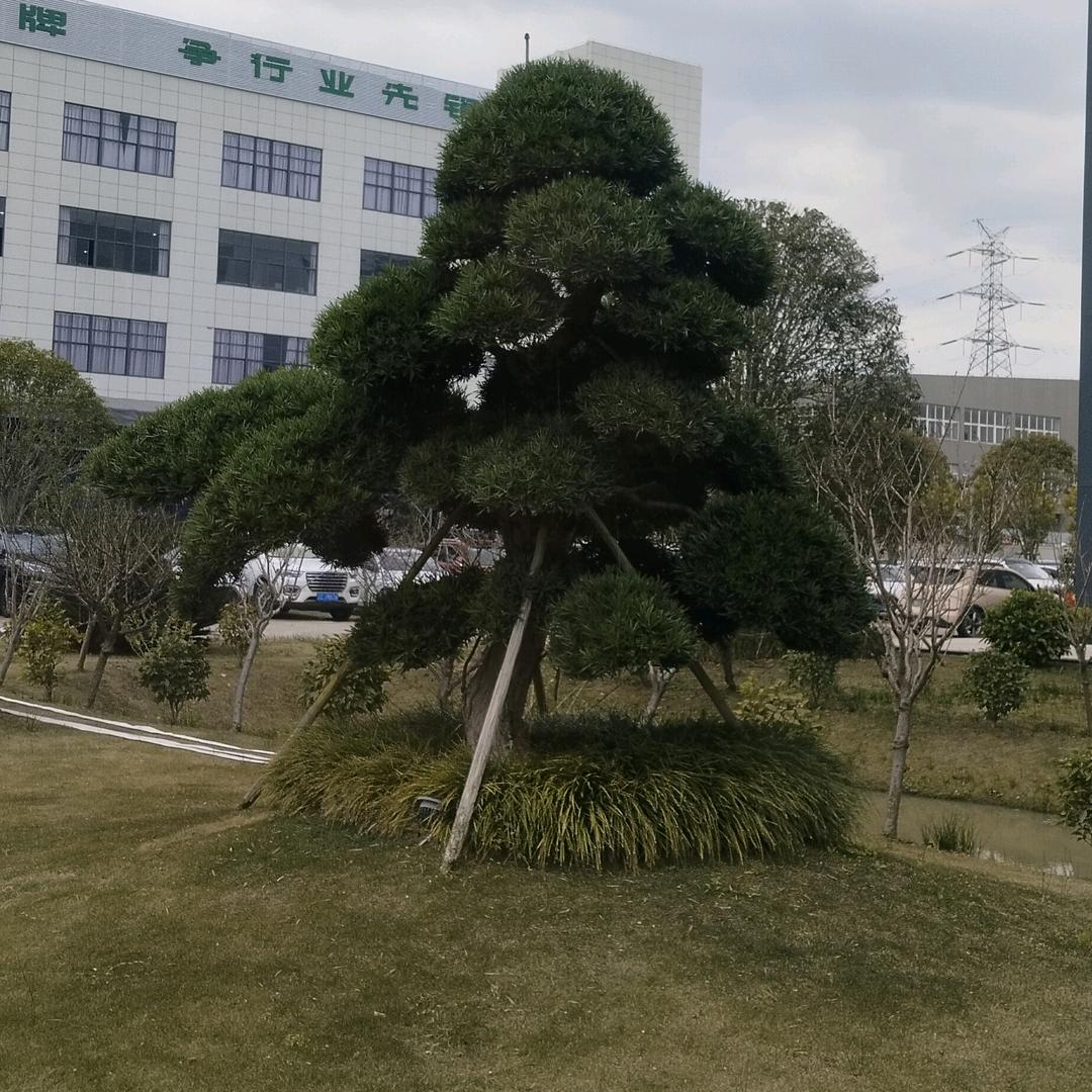 願