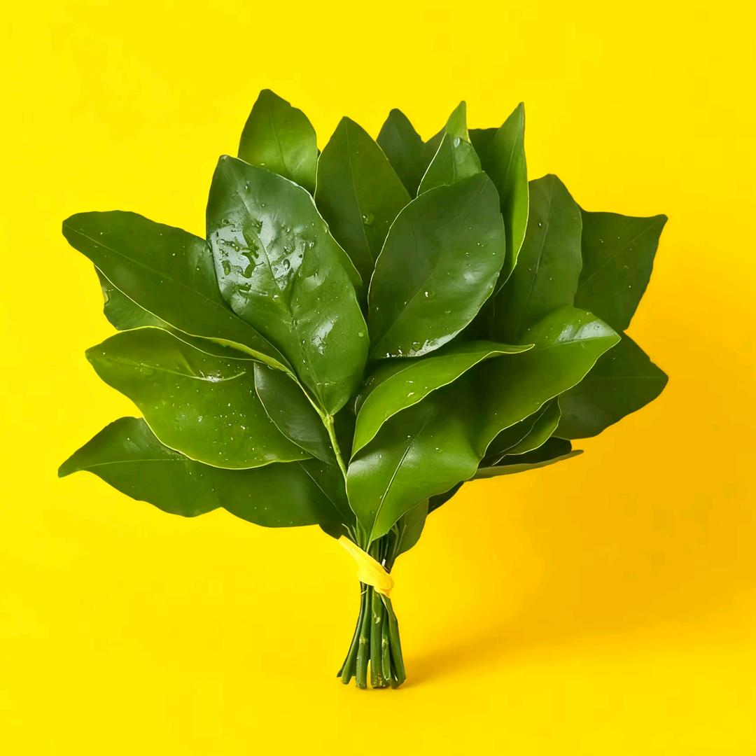 Tang(掂过碌蔗版)