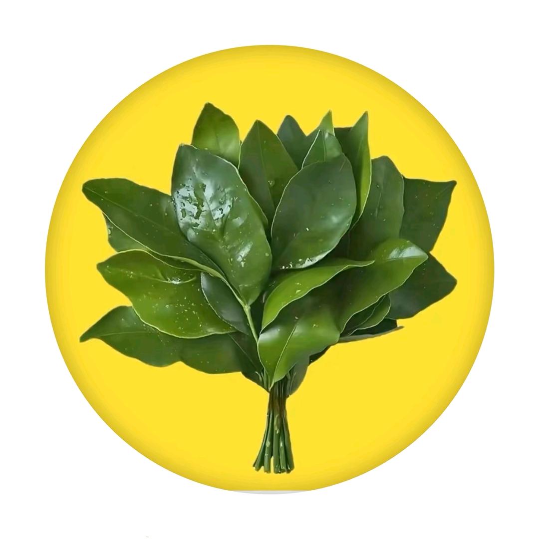 @是丸子呀
