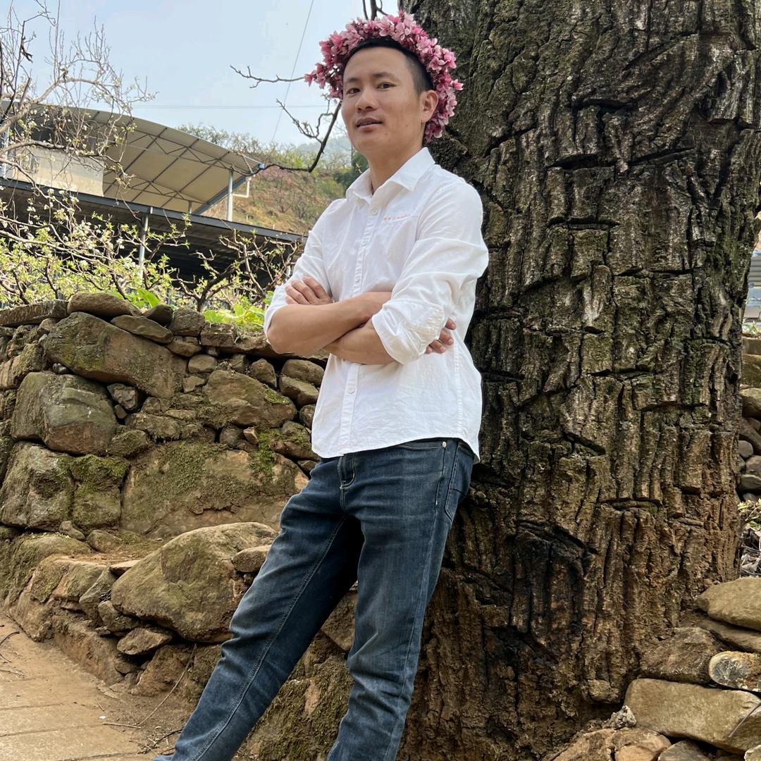 小陈陈