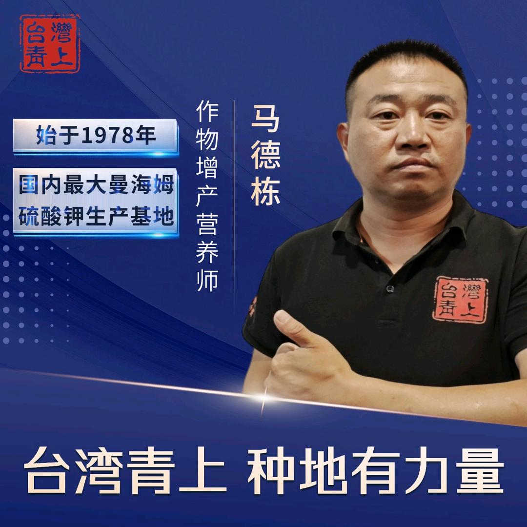 小马哥/开封青上厂家