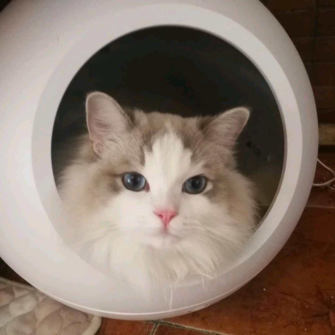 凉情.