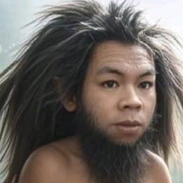 增豪