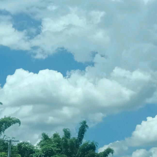 @小猪乔治