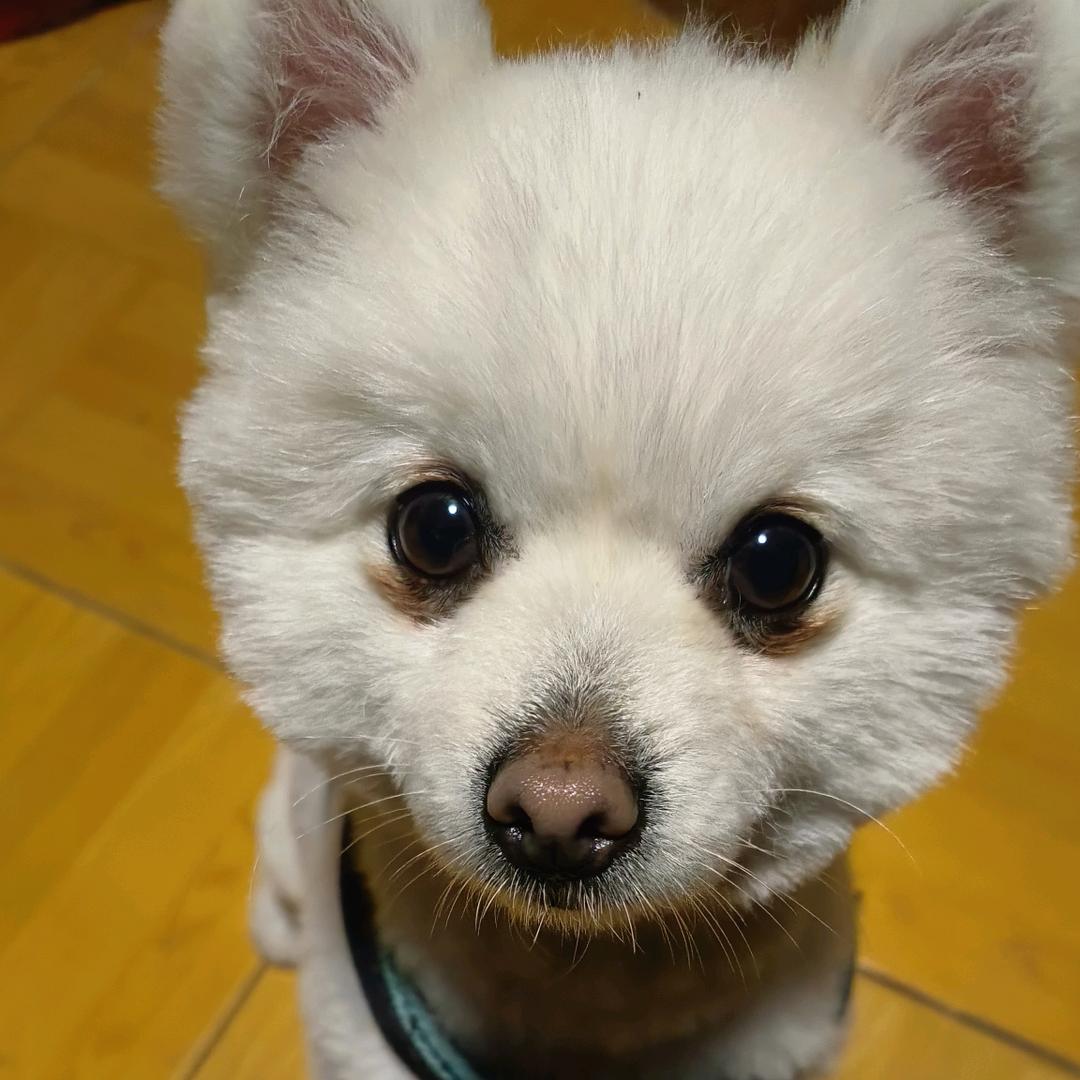 交友