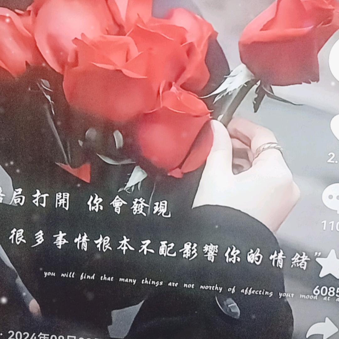 用户🎋