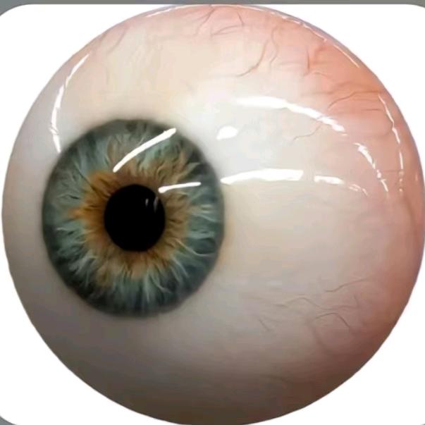 菠萝吹雪爱喝冰红茶🍍