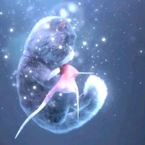 •̀ 子泠ू