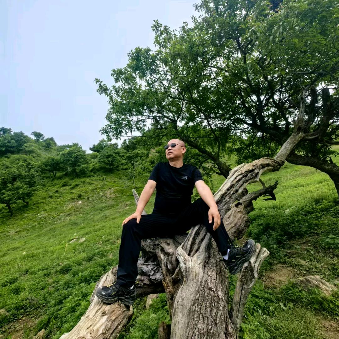 夏日骄阳