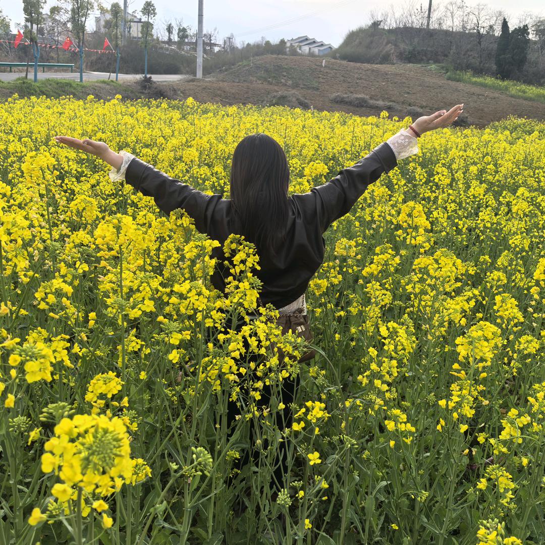 梅子在远方