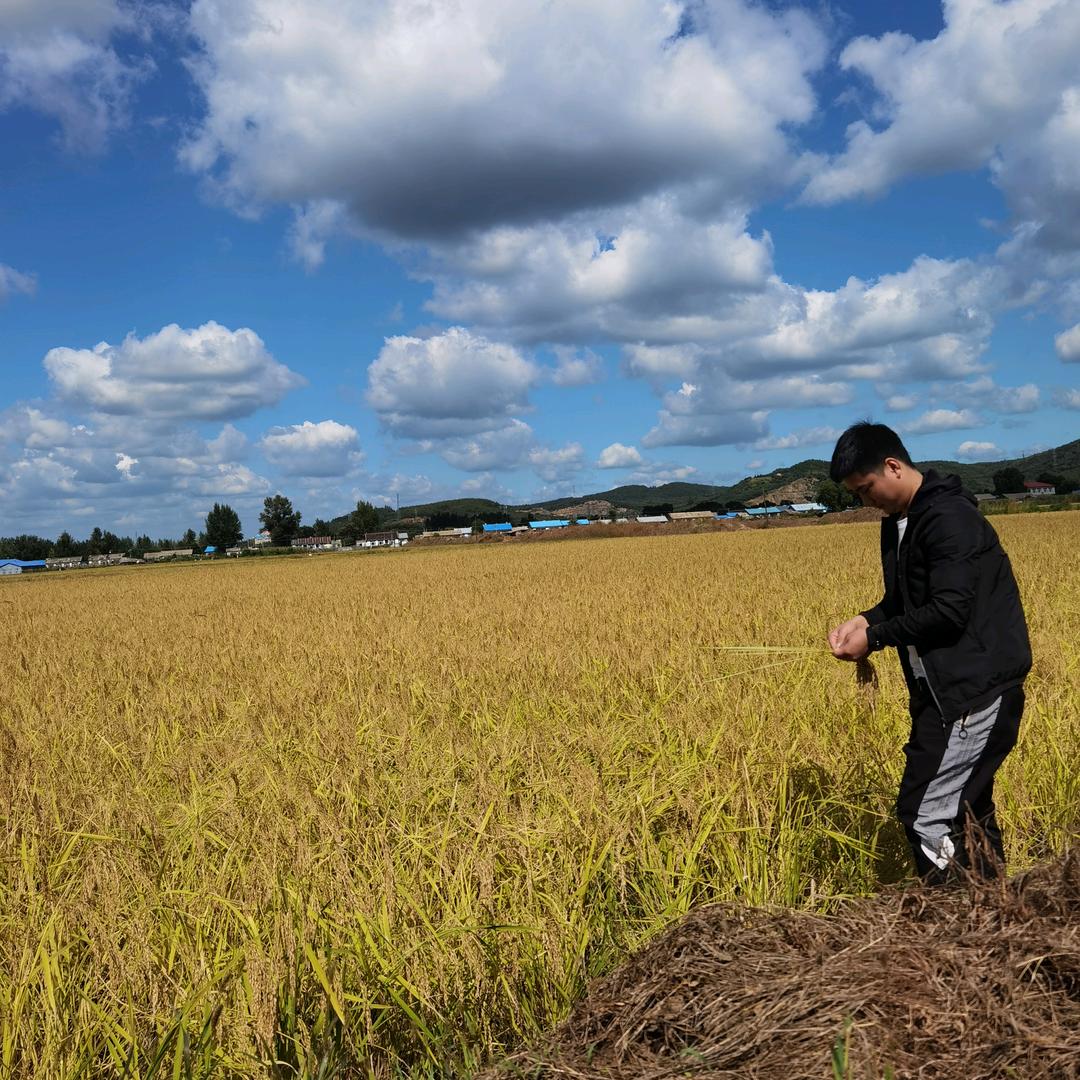 全村最靓的仔 、     李老板。