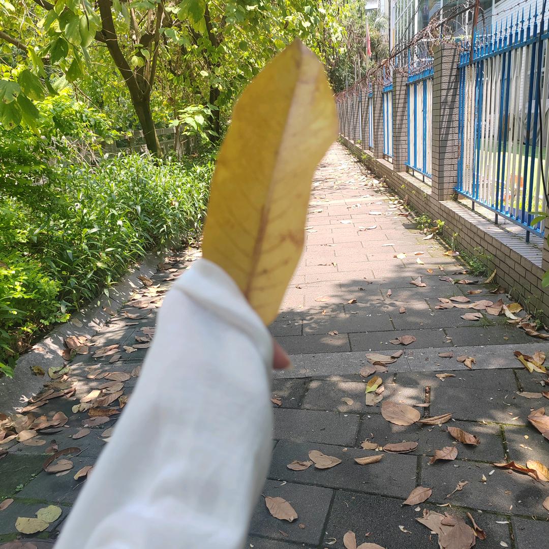 陌深壬～