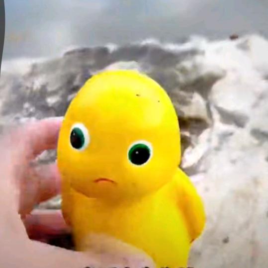 🌈招财猫的🔔