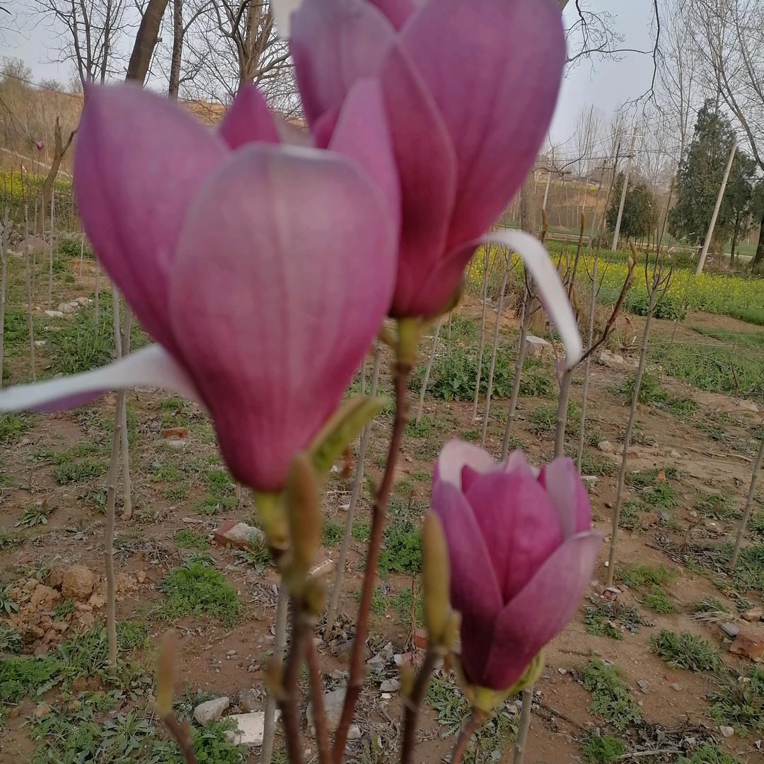 路的前方更美好